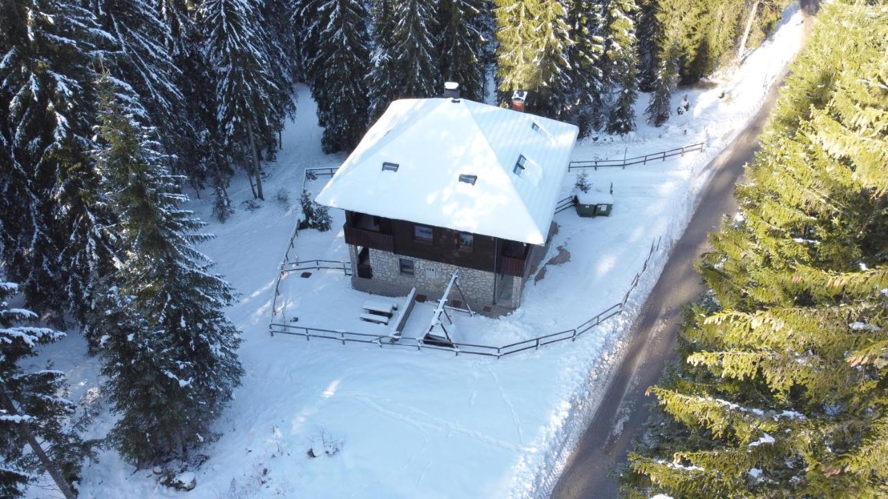 Apartments Villa Vesna Pokljuka Goreljek Exterior photo